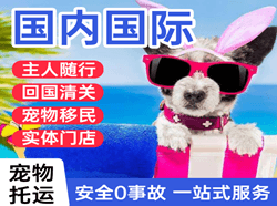 三明沙县空运公司国际宠物托运 【国